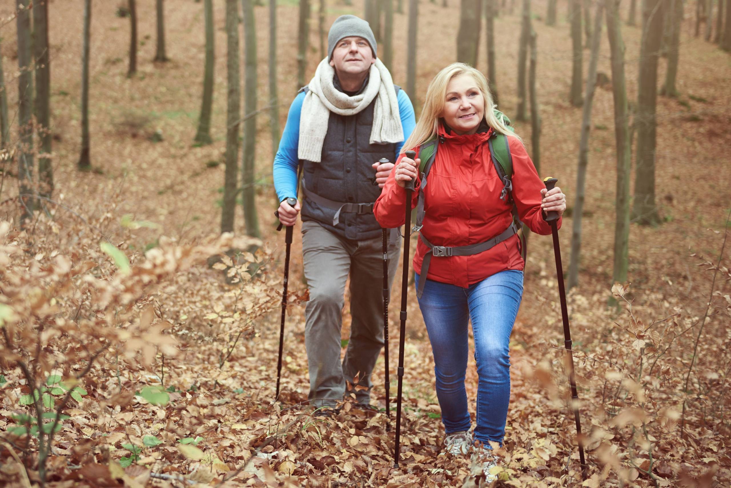 Moving up on hill in the forest